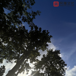 欧美亚洲一级香
